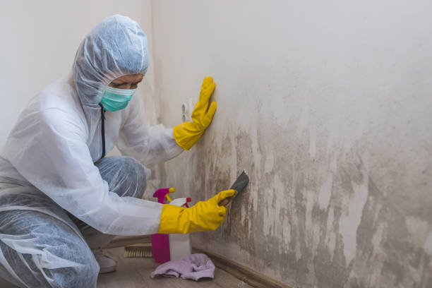 Best Mold Removal for HVAC Installations  in Prudhoe Bay, AK