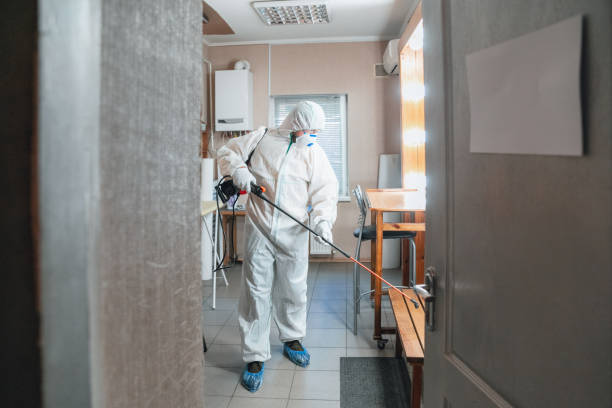 Best Basement Mold Removal  in Prudhoe Bay, AK