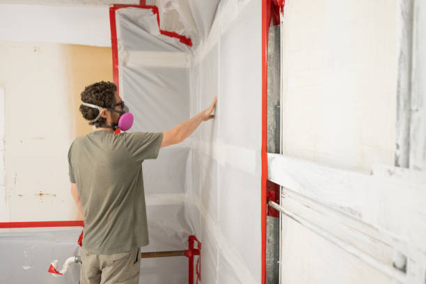 Best HVAC Mold Inspection and Cleaning  in Prudhoe Bay, AK