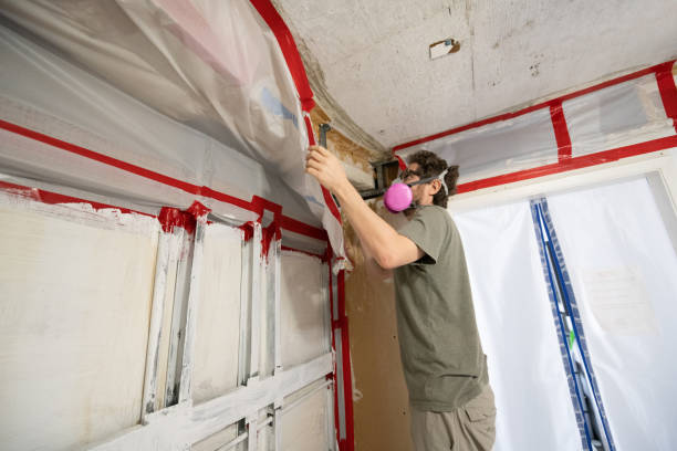 Best Attic Mold Removal  in Prudhoe Bay, AK