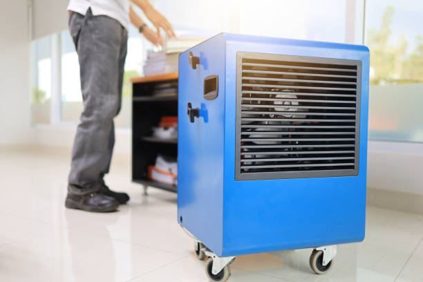 Best Airborne Mold Testing  in Prudhoe Bay, AK